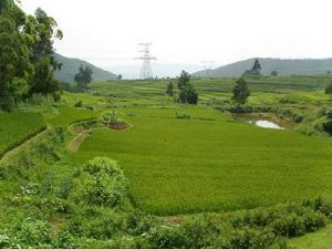 農(nóng)村土地真的一文不值？