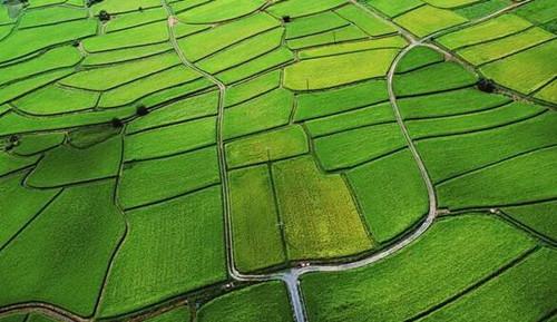 貴州省土地征收案例：不能證明已張貼征地公告，將被確認(rèn)未履行公告義務(wù)