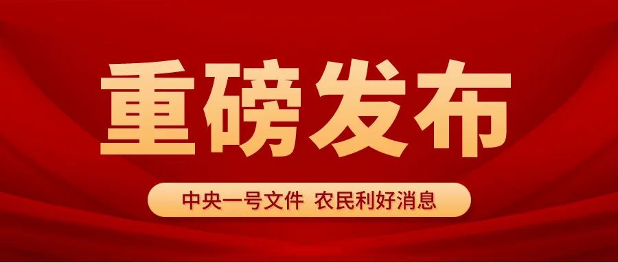 圣運(yùn)速遞：2024中央一號文件解讀，這些利好消息你還沒了解？