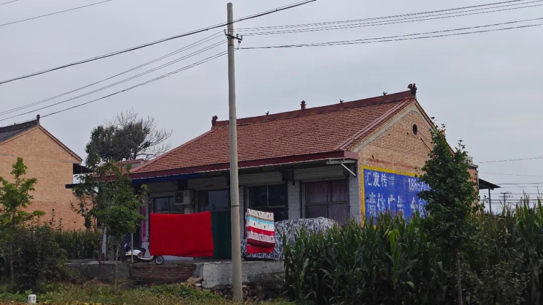 不能證明房屋由其他主體強(qiáng)制拆除的，由受益主體承擔(dān)責(zé)任