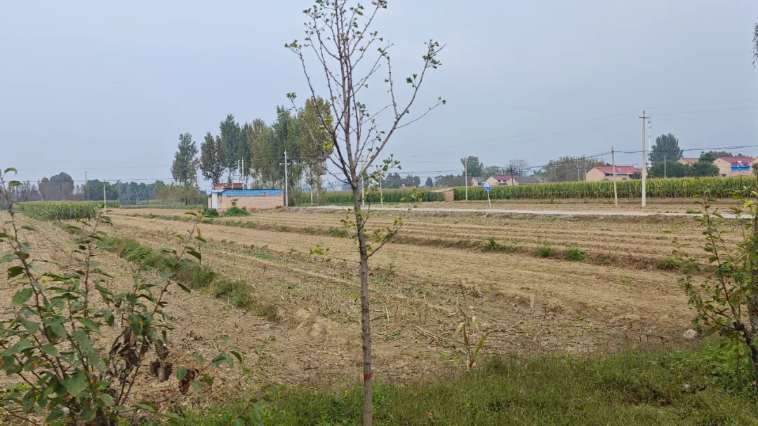 如何使農(nóng)村拆遷按照國有土地拆遷標(biāo)準(zhǔn)進(jìn)行補(bǔ)償？